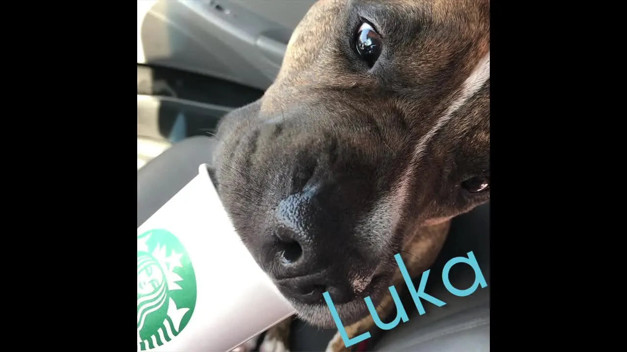 Road-Trip Fabric Haul Playbook: How to Score Deals, Stay Organized, and Get Home Happy