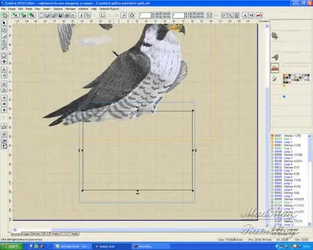 A full-screen Embird view of the falcon design with the hoop frame selected, showing how the layout is planned before splitting and re-hooping.