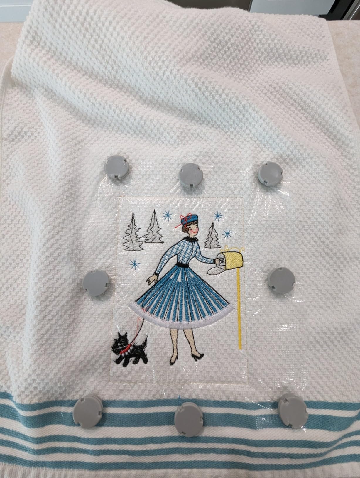 bernina travel bag