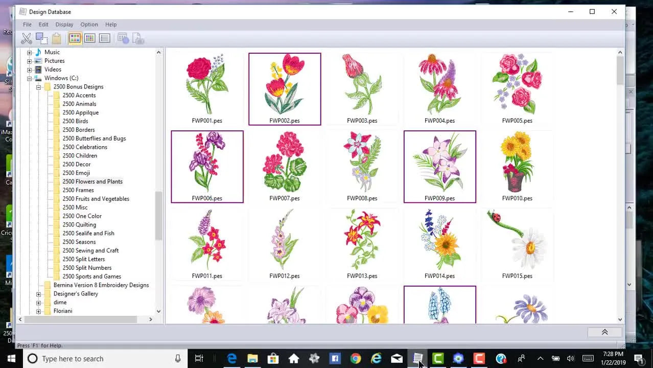 The PE-Design 11 Design Database interface with a folder tree on the left and large design thumbnails on the right.